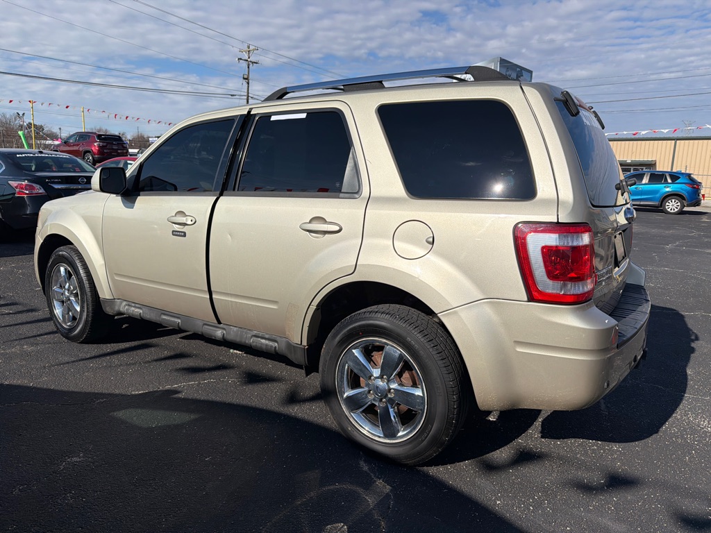 2010 FORD ESCAPE LIMITED