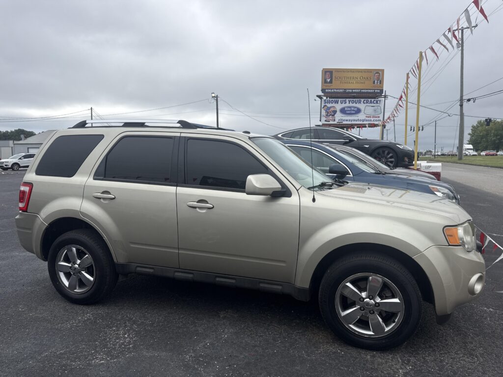 2010 Ford Escape LIMITED