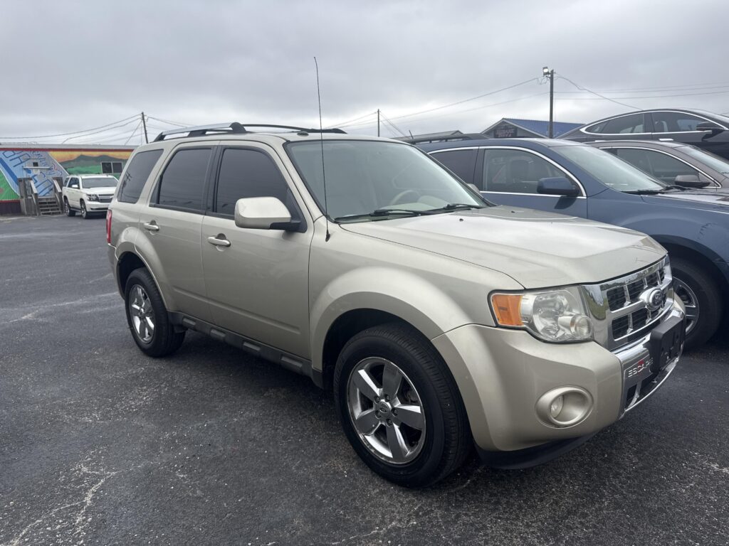 2010 Ford Escape LIMITED